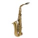 Leblanc LAS411 Alto Saxophone, Dark Lacquer - Back