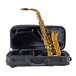 Leblanc LAS411 Alto Saxophone, Dark Lacquer - Case and Saxophone