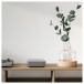 WiiM Amp Streaming Amplifier, Space Grey - Lifestyle Image