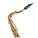 Leblanc LTS411 Tenor Saxophone, Dark Lacquer - Neck