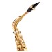 Selmer Paris Signature Alto Saxophone, Brushed Gold
