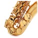 Selmer Paris Signature Alto Saxophone, Brushed Gold - Close up