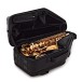 Selmer Paris Signature Alto Saxophone, Brushed Gold - Bag