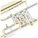 Rotary Valve Bb Student Flugel Horn by Gear4music, Gold