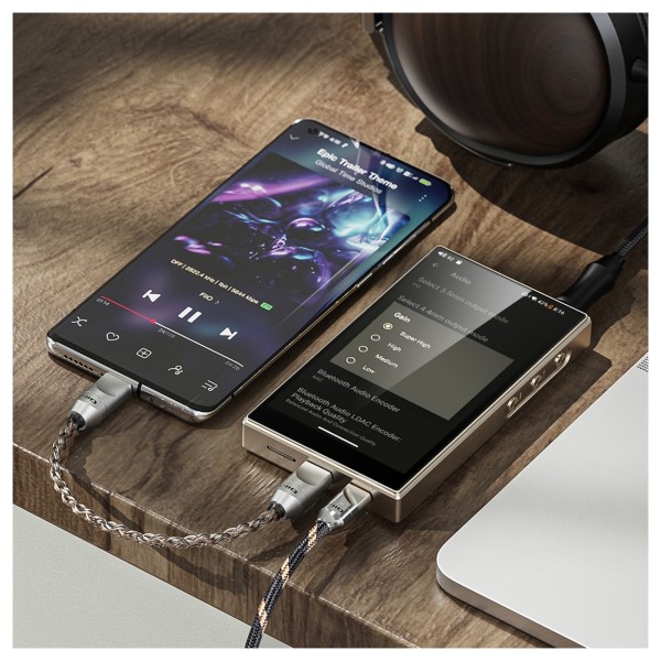 FiiO M21 Titanium Gold ポータブルDAC/アンプ s-900x663_v-fs_webp_9770eca4-
