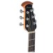 Ovation CS28P Celebrity Standard Plus Super Shallow Electro Acoustic, Regal to Natural - headstock 