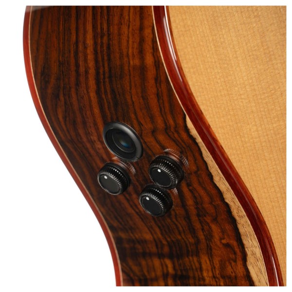 Cort Gold A10 Cocobolo, Natural - knobs