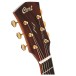 Cort Gold A10 Cocobolo, Natural - headstock