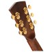 Cort Gold A10 Cocobolo, Natural - headstock back 