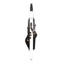 Roland Aerophone AE-20 Digital Wind Instrument - Secondhand