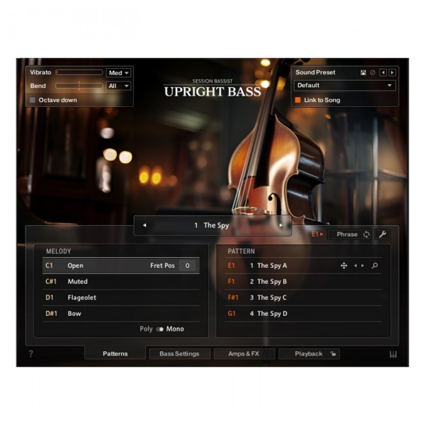 Native Instruments Komplete 15 Ultimate Upgrade for Komplete Select (Boxed) - Upright Bass