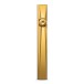 Astell&Kern A&ultima SP3000 Hi-Res Player, Limited Edition Gold - side