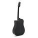 Takamine GF30CE FXC Electro Acoustic, Black black