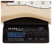 Fender Custom Shop 1960 Stratocaster Journeyman Relic, Aged Honey Blonde - weight 