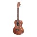 Kala All Solid Acacia Tenor Ukulele