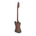 Epiphone Thunderbird E1 With 940-ETBCS Hard Case - back 