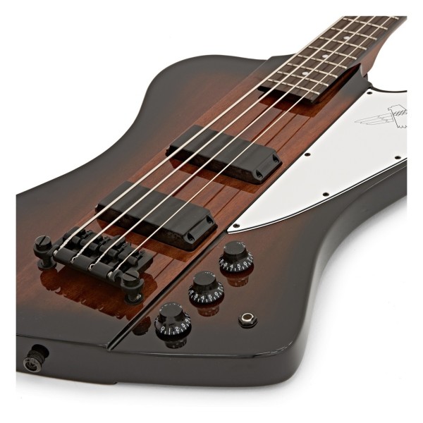Epiphone Thunderbird E1 With 940-ETBCS Hard Case - body 