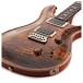PRS Custom 24, Yellow Tiger #0364834 - body 