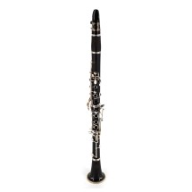 Buffet R13 Professional Bb Clarinet Outfit - Secondhand