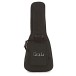 PRS S2 Vela, Birds, Antique White 2024 - case 