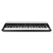 Korg Grandstage X Digital Piano - Front
