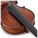 Primavera 200 Antiqued Violin Outfit, Full Size, Gold Level Set Up
