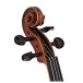 Primavera 200 Antiqued Violin Outfit, Full Size, Gold Level Set Up