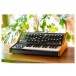 Moog Subsequent 25 Analog - Lifestyle Shot