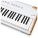 Arturia Astrolab 88-Note Stage Keyboard - Detail
