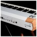 Arturia Astrolab 88-Note Stage Keyboard - Lifestyle 2 