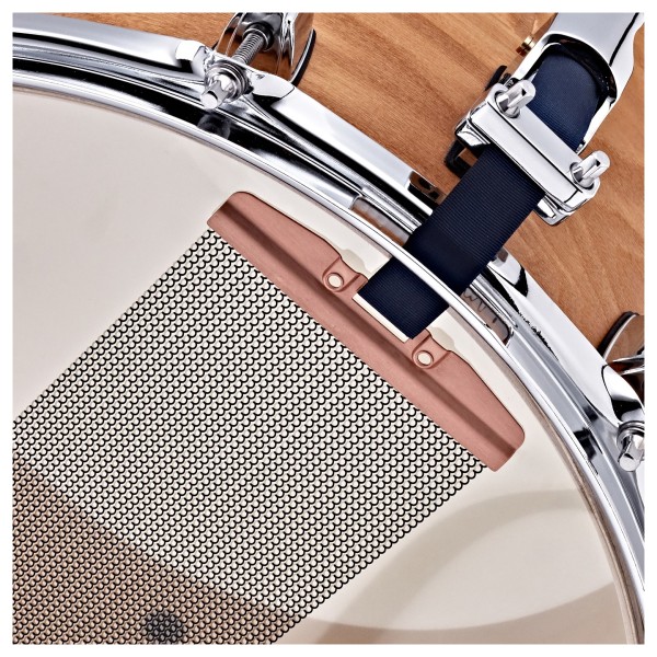 Premier Artist 14" x 8" Birch Snare Drum, Antique Ash