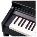 Roland RP701 Digital Piano, Contemporary Black Panel