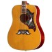 Epiphone 1963 Dove Reissue, Natural - body 