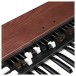 Crumar Mojo Classic Virtual Tonewheel Organ - Detail