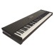 Parsifal Digital Piano, 88 Key - Angled