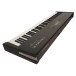Crumar Parsifal 88-Note Digital Piano - Angled Rear
