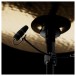 DPA CORE+ 4099 Instrument Microphone, Universal, Angle 1