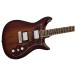 Grestch Electromatic CVT Double-Cut with Wraparound LRL, Havana Burst - body and neck 
