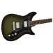 Grestch Electromatic CVT Double-Cut with Wraparound LRL, Wychwood - body and neck 