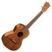 Martin T1K Ukulele with Gigbag