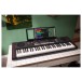 Roland E-X10 In Situ