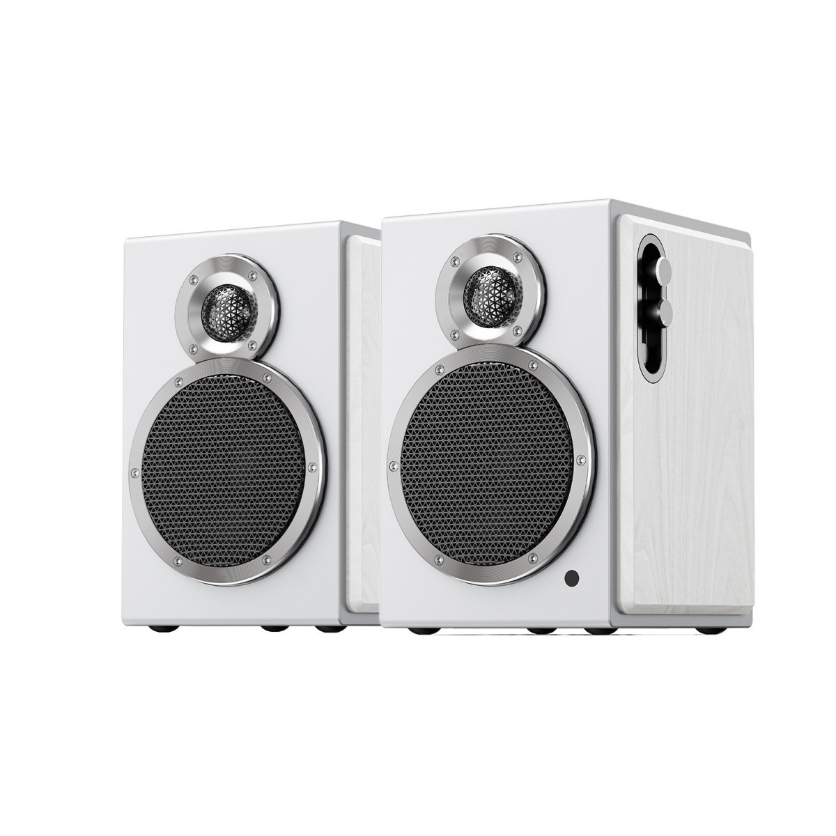 FiiO SA1 Desktop Active Speaker White