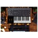 Moog Subsequent 25 Analog