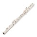Trevor James Performer Bass Flute, Silver Lip & Riser 