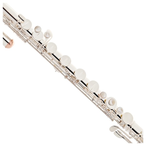 Trevor James Performer Bass Flute, Silver Lip & Riser- Case