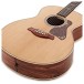 Taylor Gold Label 814e Super Auditorium, Natural - body 