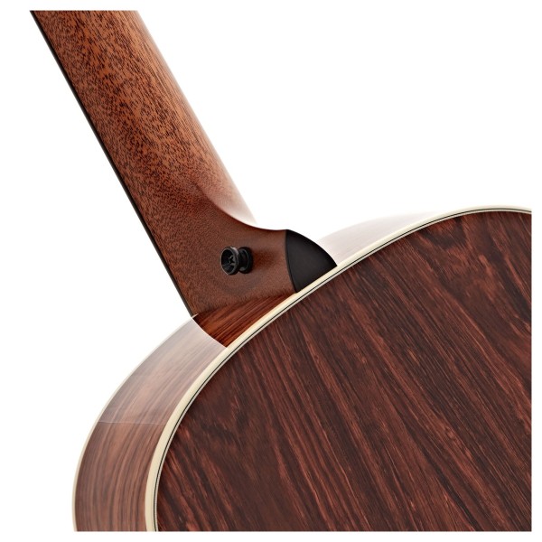Taylor Gold Label 814e Super Auditorium, Natural - neck 