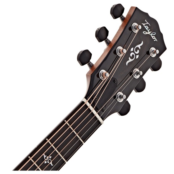 Taylor Gold Label 814e Super Auditorium, Natural - headstock 