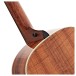 Taylor Gold Label 814e Koa Super Auditorium - neck back 