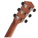 Taylor Gold Label 814e Koa Super Auditorium - headstock back 